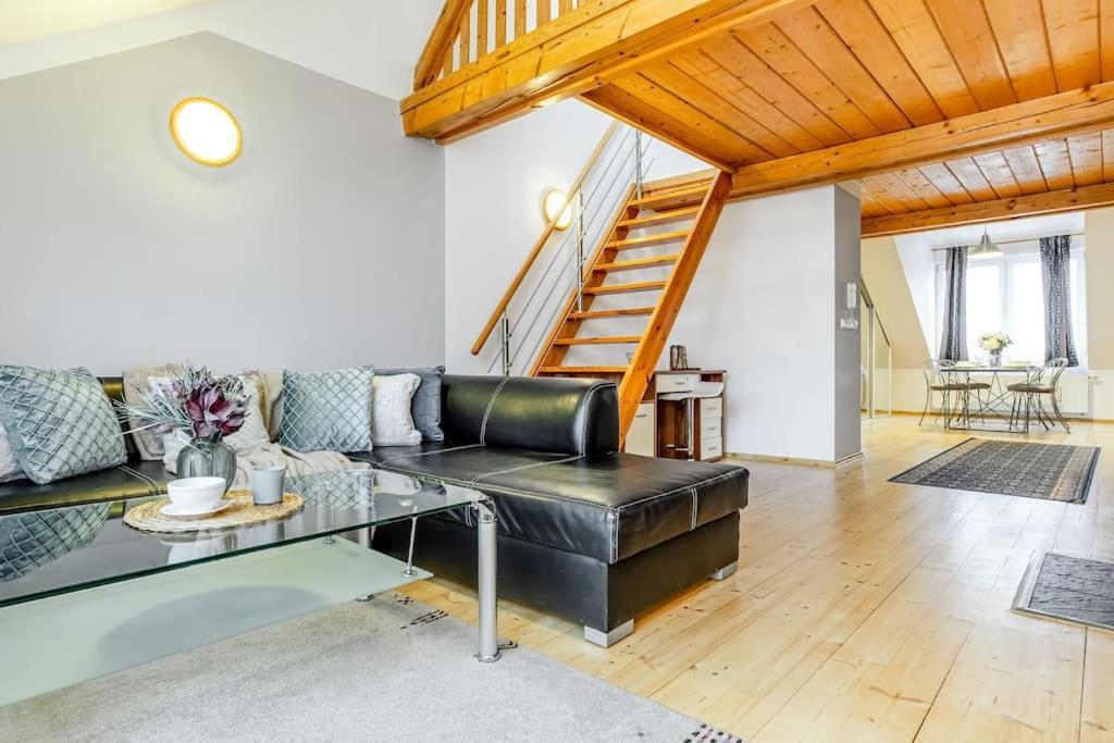 Utulny A Prostorny Podkrovni S Krbovymi Kamny Apartment Ceske Budejovice