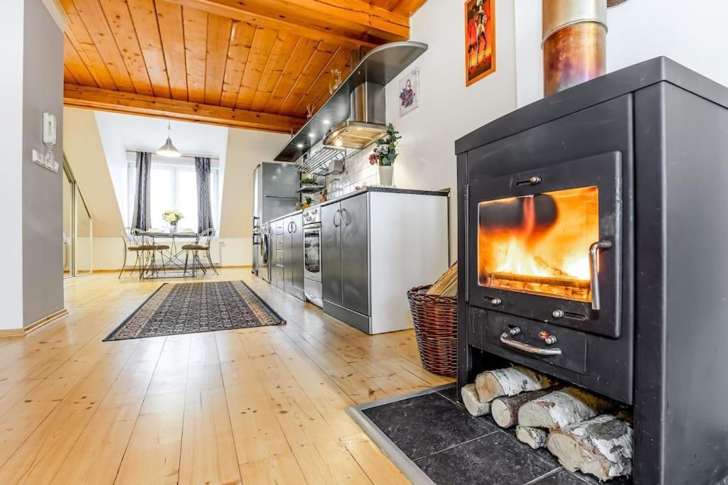 Apartment Utulny A Prostorny Podkrovni S Krbovymi Kamny Ceske Budejovice